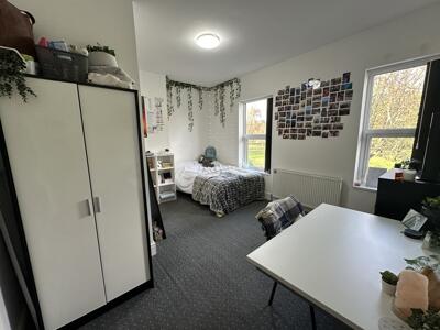 Picture 10